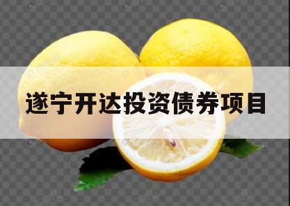 遂宁开达投资债券项目