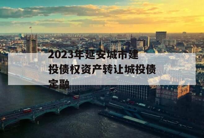 2023年延安城市建投债权资产转让城投债定融