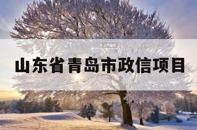山东省青岛市政信项目