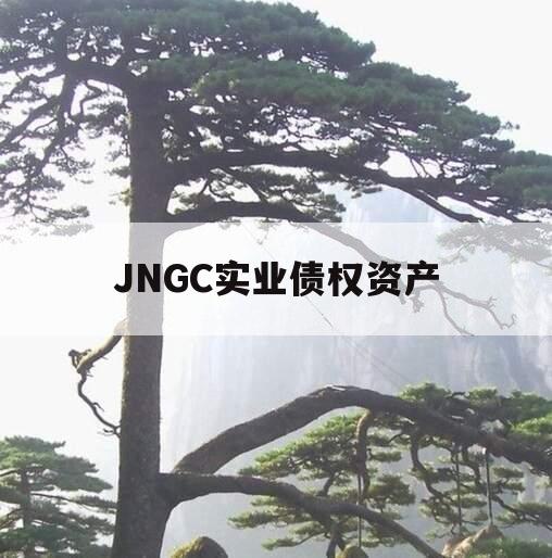 JNGC实业债权资产