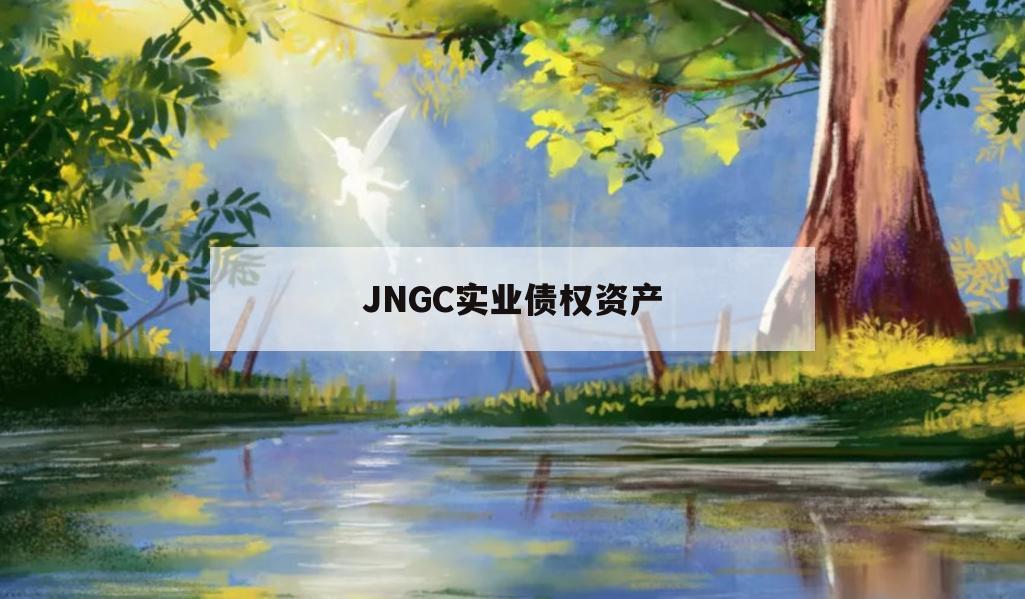 JNGC实业债权资产