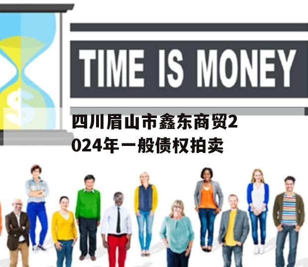 四川眉山市鑫东商贸2024年一般债权拍卖