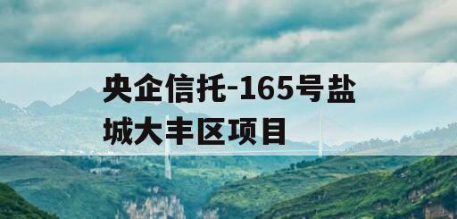 央企信托-165号盐城大丰区项目