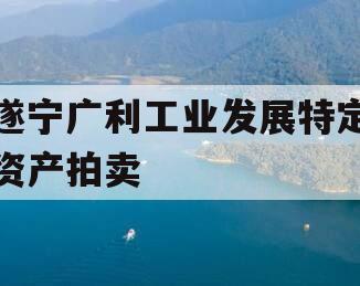 遂宁广利工业发展特定资产拍卖