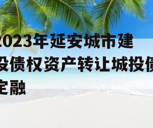 2023年延安城市建投债权资产转让城投债定融