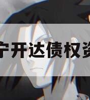 遂宁开达债权资产