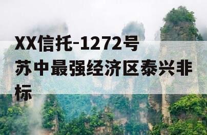 XX信托-1272号苏中最强经济区泰兴非标