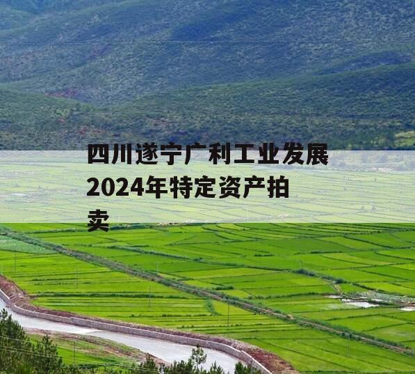 四川遂宁广利工业发展2024年特定资产拍卖