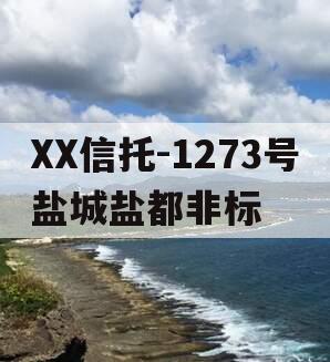 XX信托-1273号盐城盐都非标