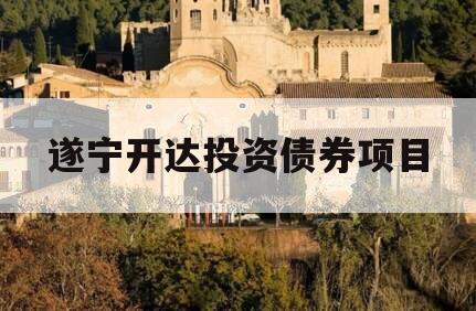 遂宁开达投资债券项目