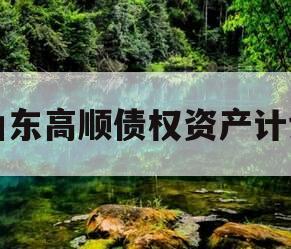 山东高顺债权资产计划