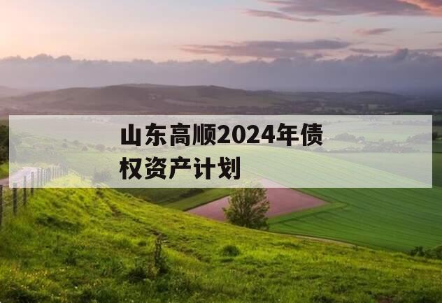 山东高顺2024年债权资产计划