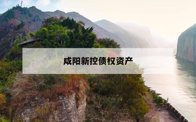 咸阳新控债权资产