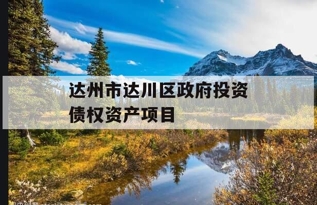 达州市达川区政府投资债权资产项目