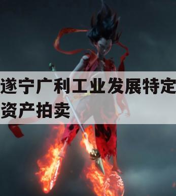 遂宁广利工业发展特定资产拍卖