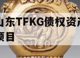 山东TFKG债权资产项目