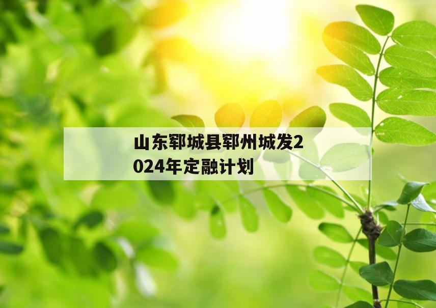 山东郓城县郓州城发2024年定融计划