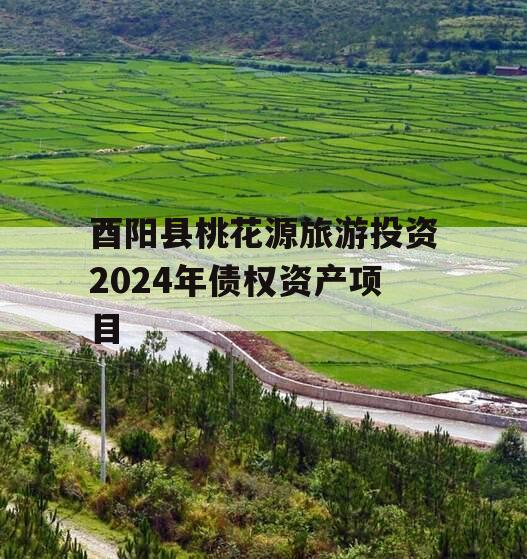 酉阳县桃花源旅游投资2024年债权资产项目