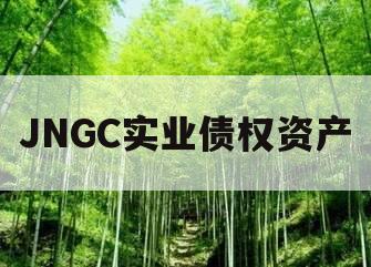 JNGC实业债权资产