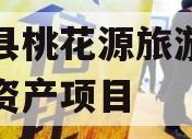 酉阳县桃花源旅游投资债权资产项目