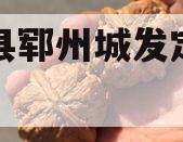 郓城县郓州城发定融计划