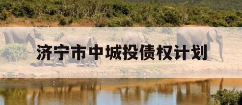 济宁市中城投债权计划