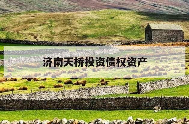 济南天桥投资债权资产