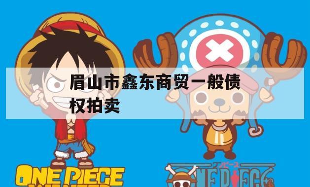 眉山市鑫东商贸一般债权拍卖