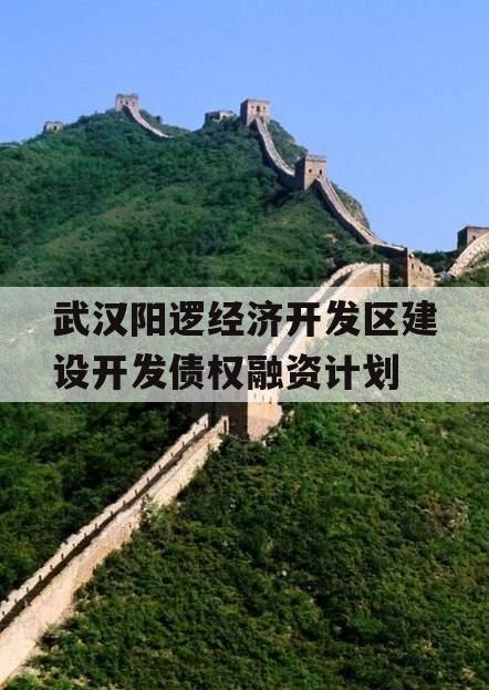 武汉阳逻经济开发区建设开发债权融资计划