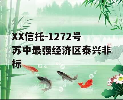XX信托-1272号苏中最强经济区泰兴非标