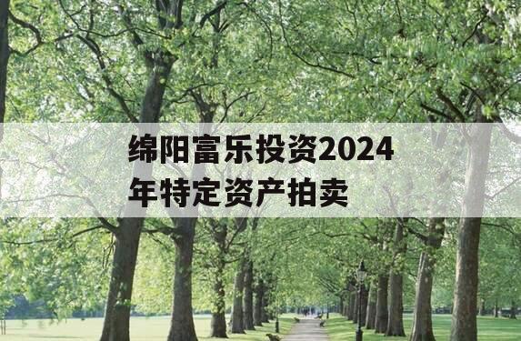 绵阳富乐投资2024年特定资产拍卖