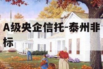 A级央企信托-泰州非标