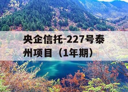 央企信托-227号泰州项目（1年期）