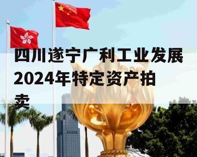 四川遂宁广利工业发展2024年特定资产拍卖
