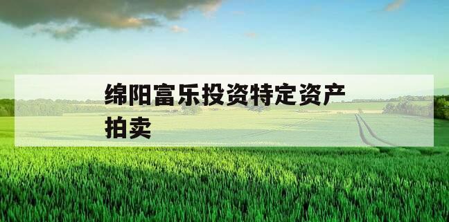 绵阳富乐投资特定资产拍卖