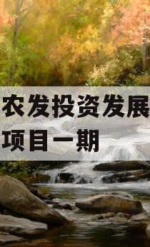 汝阳农发投资发展债权融资项目一期