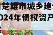 四川楚雄市城乡建设投资2024年债权资产拍卖