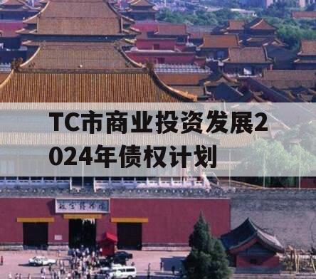 TC市商业投资发展2024年债权计划