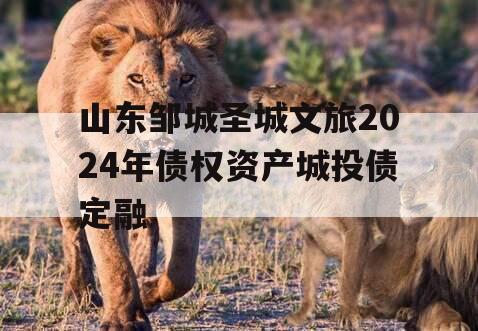 山东邹城圣城文旅2024年债权资产城投债定融