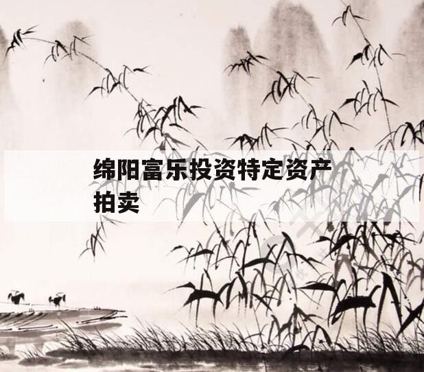 绵阳富乐投资特定资产拍卖