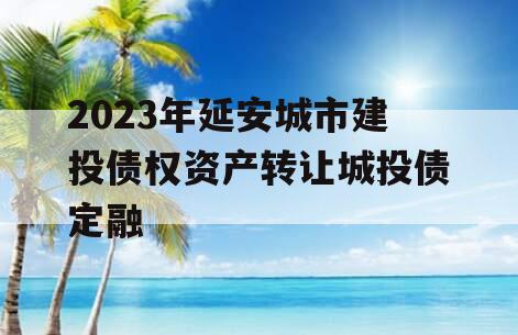 2023年延安城市建投债权资产转让城投债定融