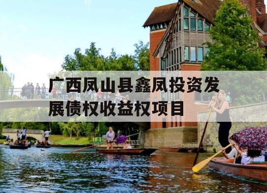 广西凤山县鑫凤投资发展债权收益权项目