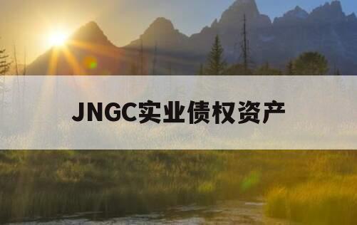 JNGC实业债权资产