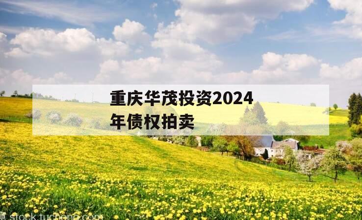 重庆华茂投资2024年债权拍卖