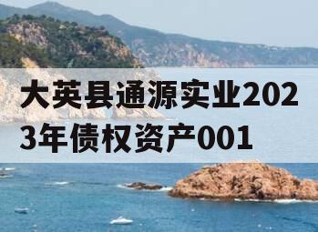 大英县通源实业2023年债权资产001