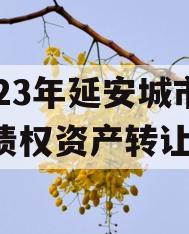 2023年延安城市建投债权资产转让