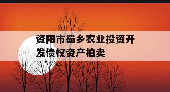 资阳市蜀乡农业投资开发债权资产拍卖