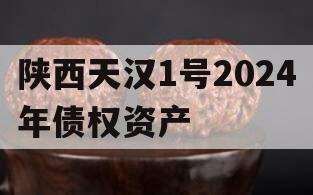 陕西天汉1号2024年债权资产