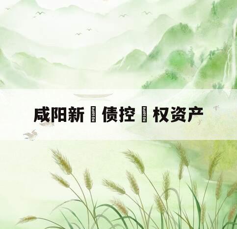 咸阳新‮债控‬权资产