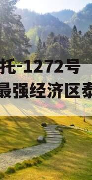 XX信托-1272号苏中最强经济区泰兴非标